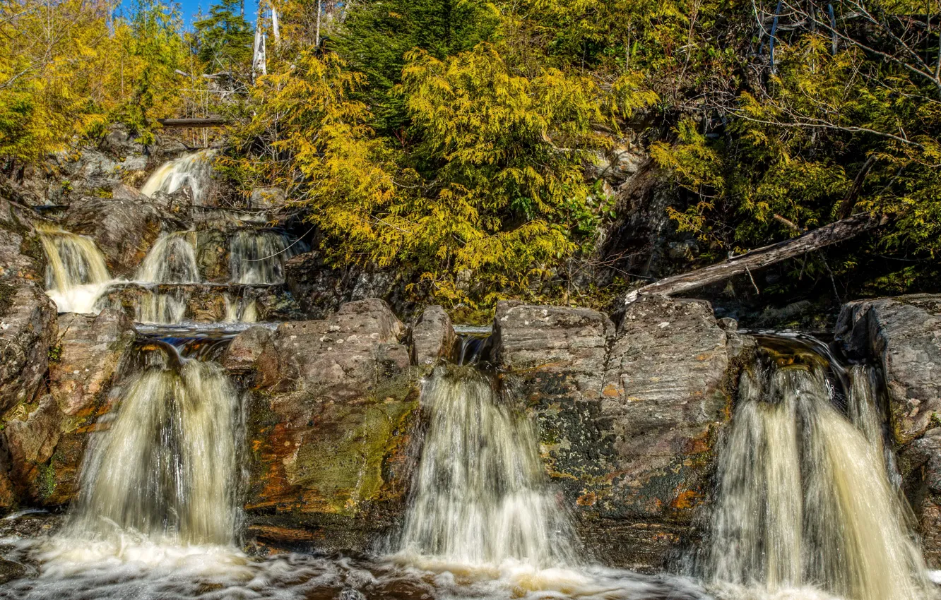 Photo wallpaper stones, waterfall, trees, San Juan Ridge Creek, cascade, CA, forest, USA
