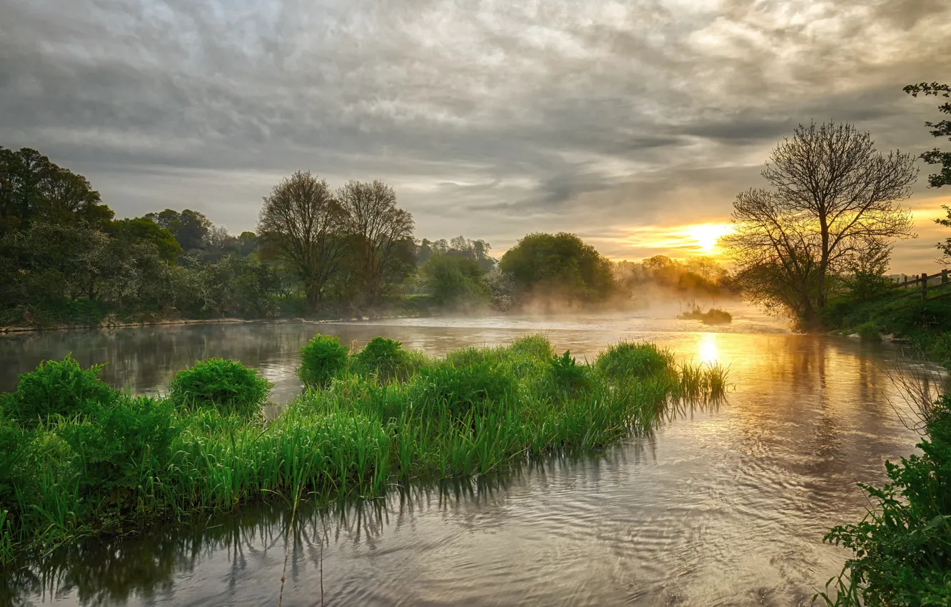 Photo wallpaper grass, water, landscape, sunset, nature