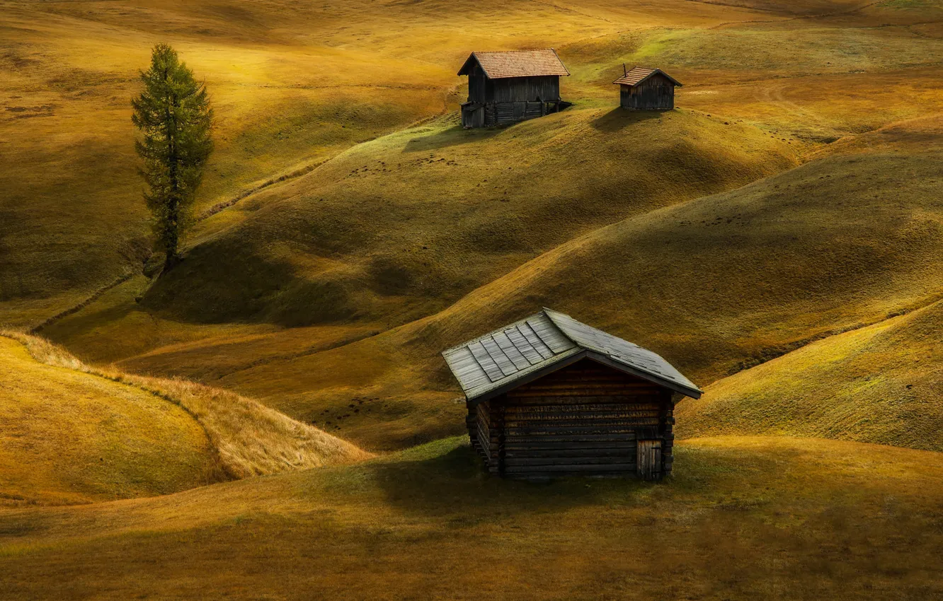 Photo wallpaper field, hills, Alps, house