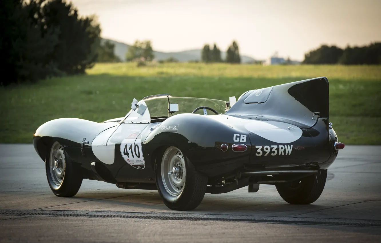 Photo wallpaper road, lawn, Jaguar, back, car, fin, racing, D-Type