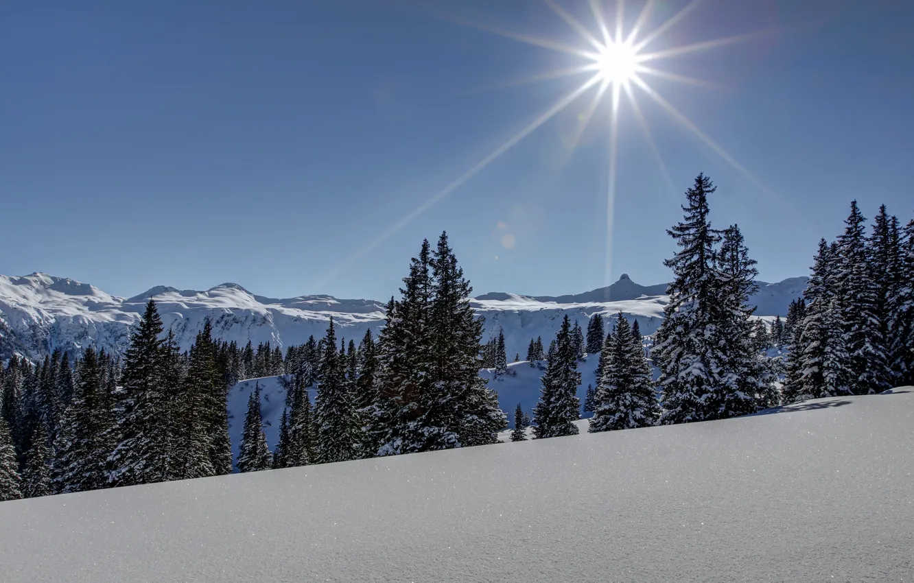 Photo wallpaper the sun, snow, landscape, nature, ate