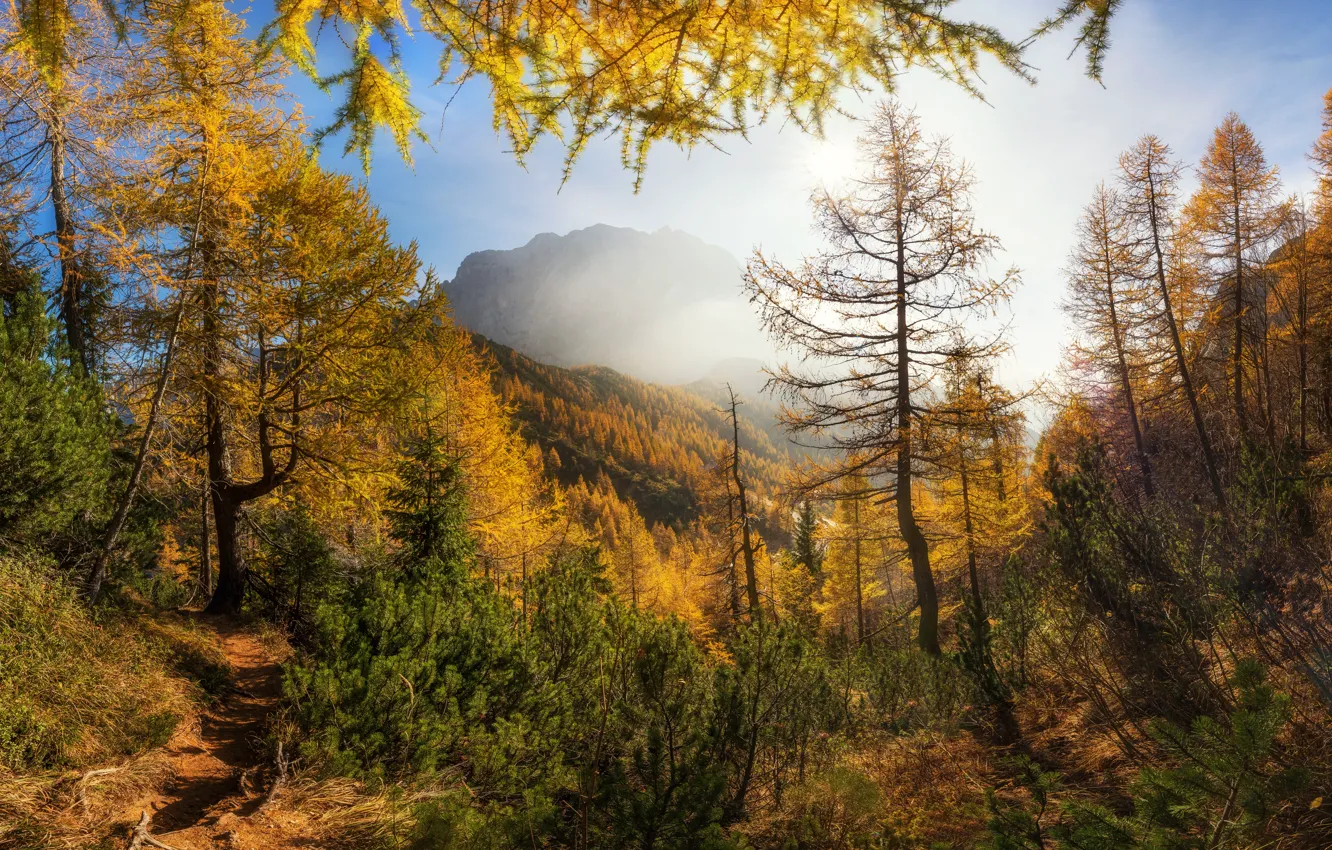 Photo wallpaper autumn, mountains, morning