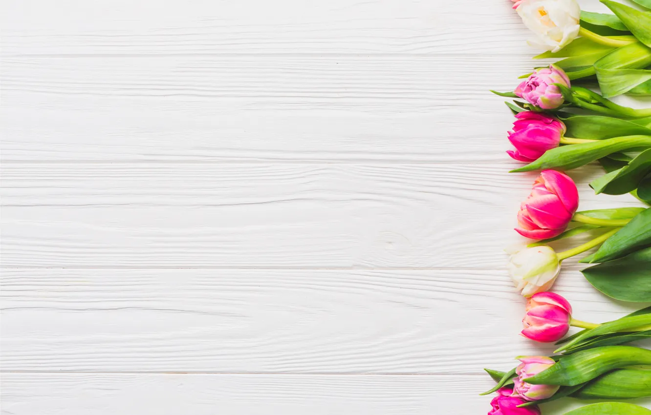 Photo wallpaper flowers, Board, spring, colorful, tulips, wood, pink, flowers