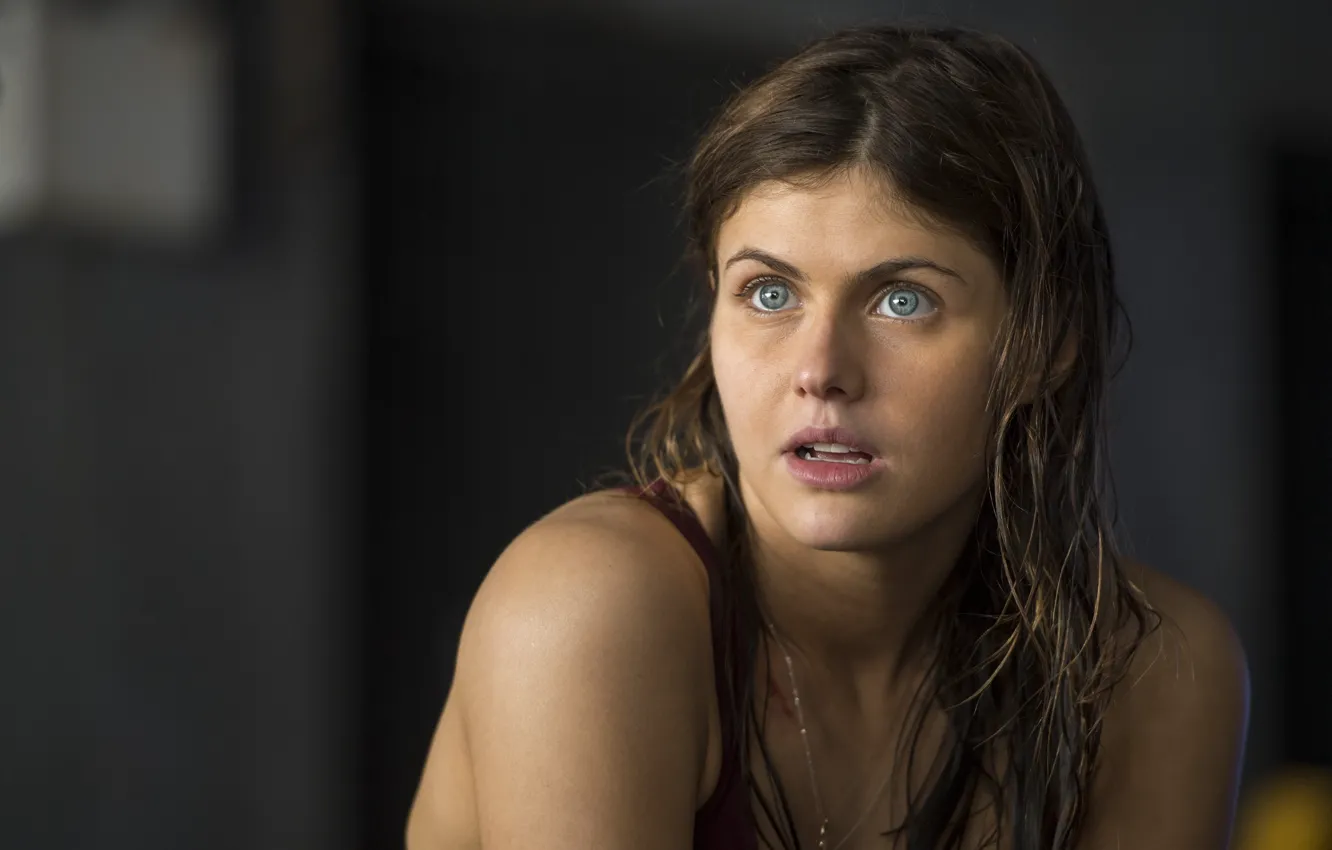 Photo wallpaper girl, face, actress, beauty, blue-eyed, Alexandra Daddario, Alexandra Daddario