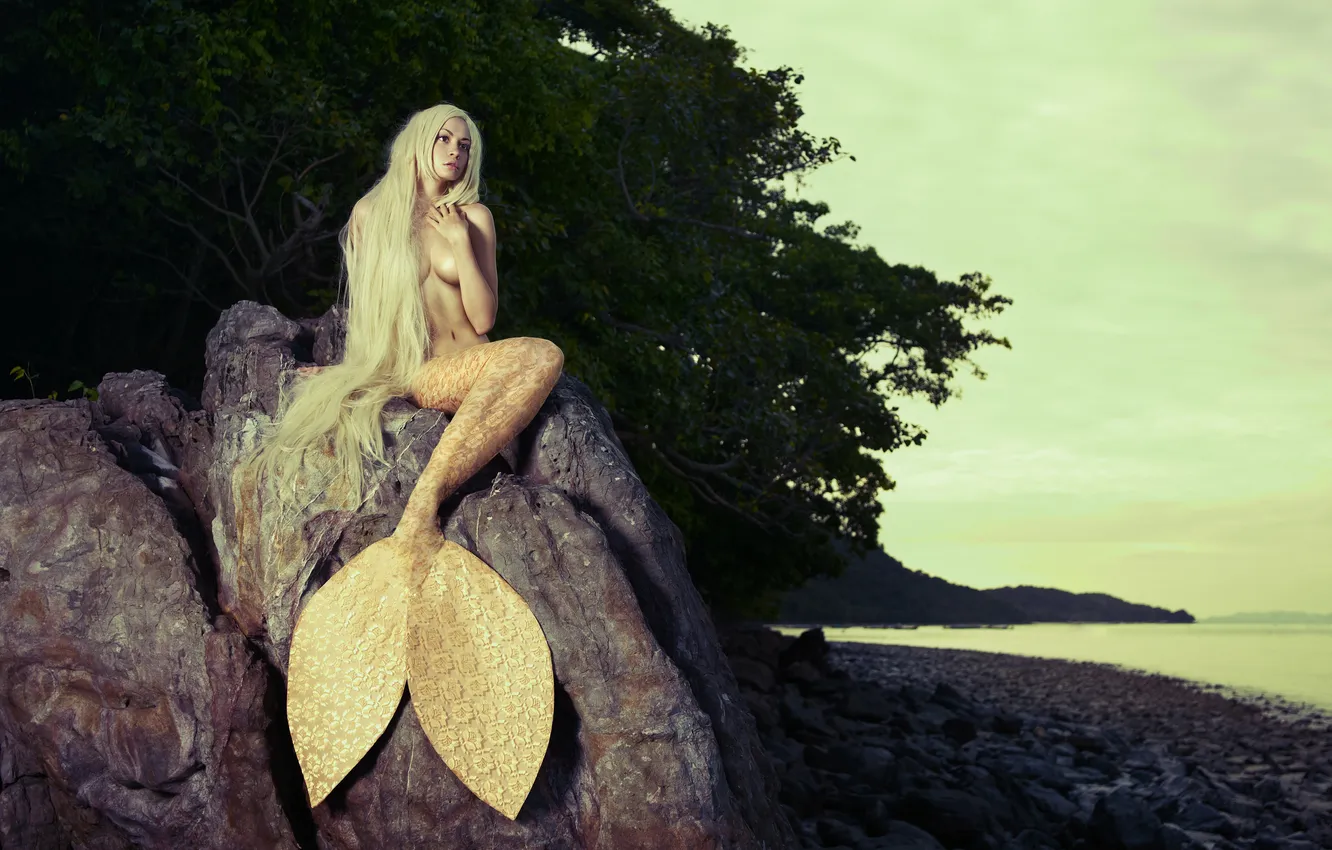 Photo wallpaper sea, look, trees, hair, mermaid, tail, sitting, long