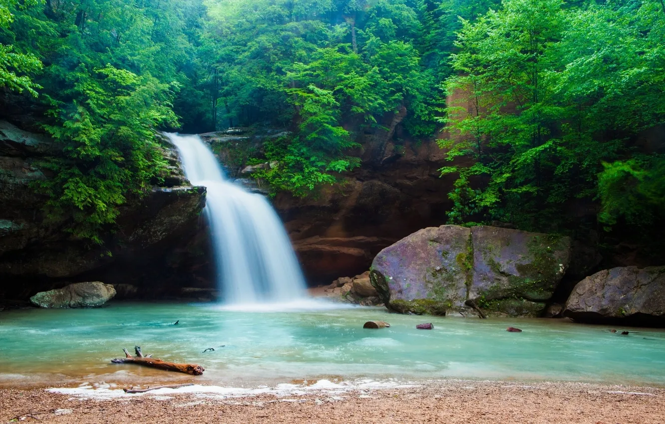 Photo wallpaper forest, stones, waterfall