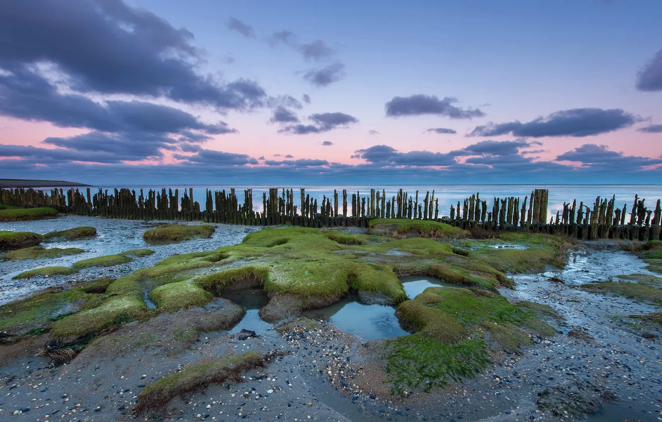 Photo wallpaper sea, Nederland, Waddensea
