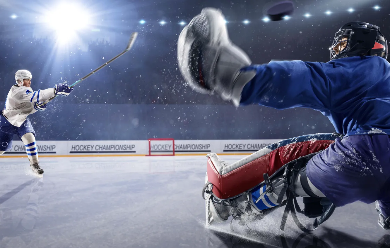Photo wallpaper Ice, Arena, Hockey, Washer, Goalkeeper, Athletes, Throw