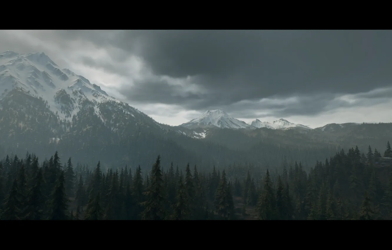 Photo wallpaper forest, landscape, mountains, fog, haze, postapokalipsis, render, computer game