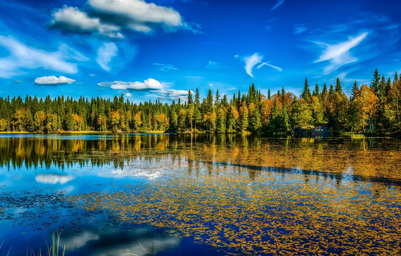 Photo wallpaper autumn, forest, the sky, clouds, lake, foliage, HDR, Norway