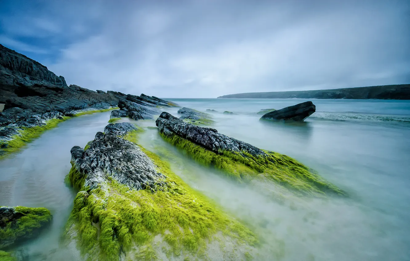 Photo wallpaper sea, the sky, clouds, algae, rocks