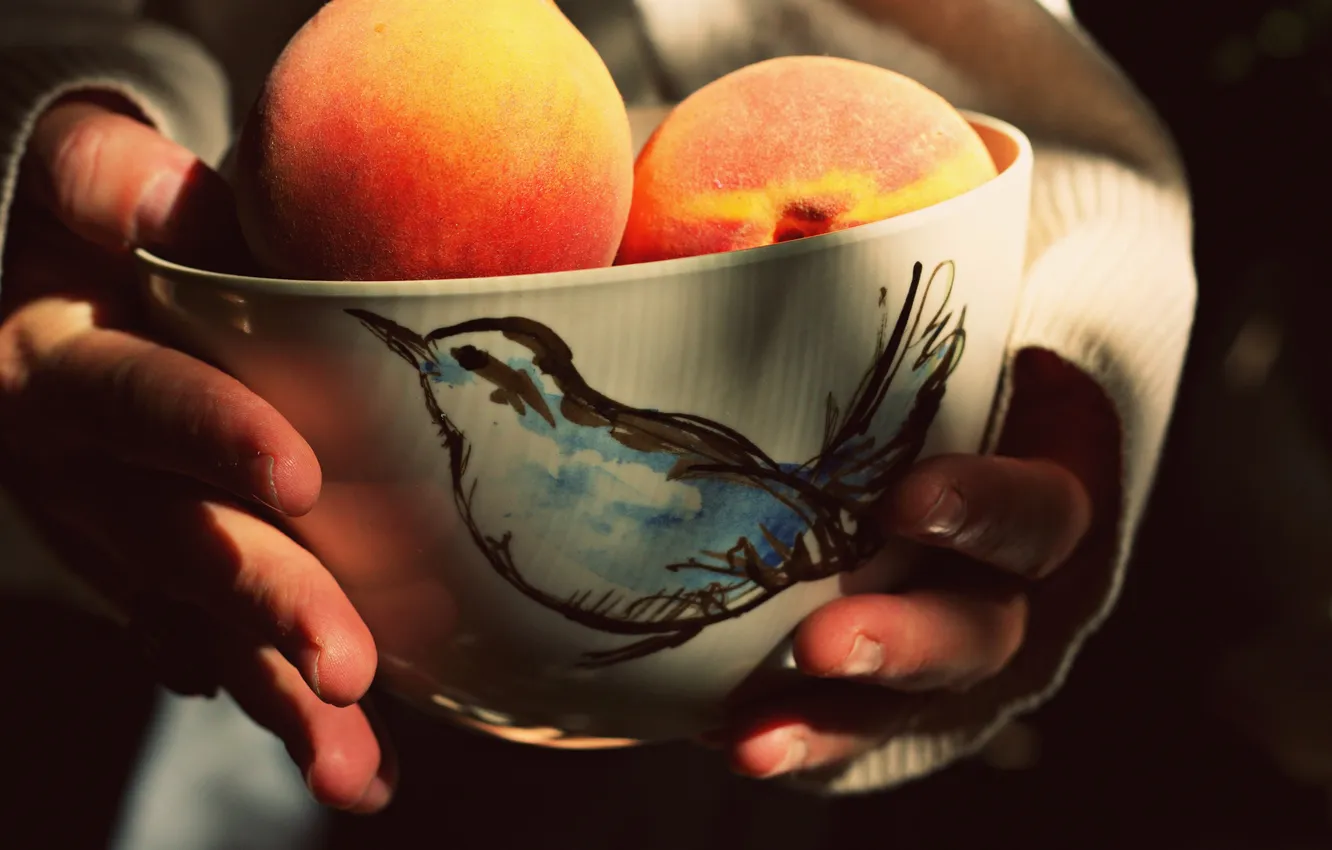 Photo wallpaper hands, fruit, peaches