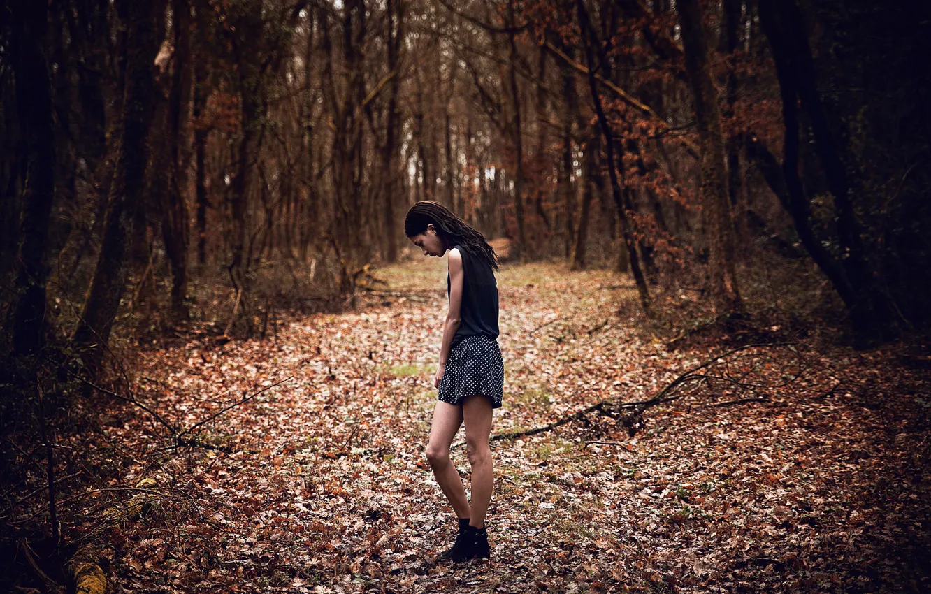 Photo wallpaper sadness, autumn, forest, girl, Chloe