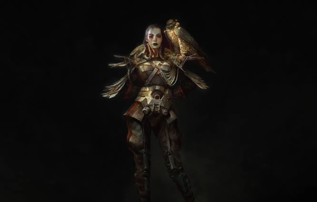 Photo wallpaper girl, style, bird, minimalism, art, captain, Falcon, science fiction