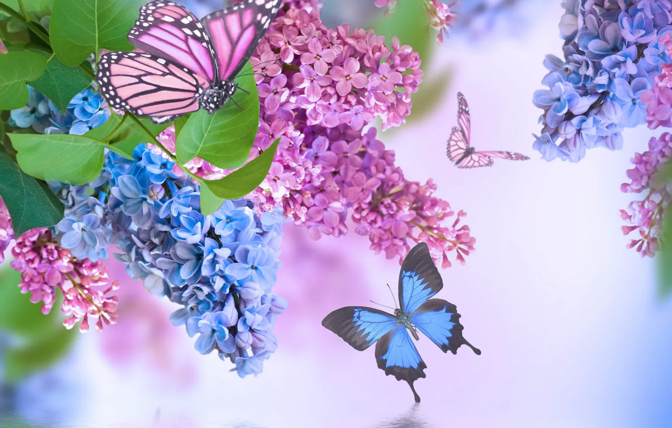 Photo wallpaper flowers, spring, lilac