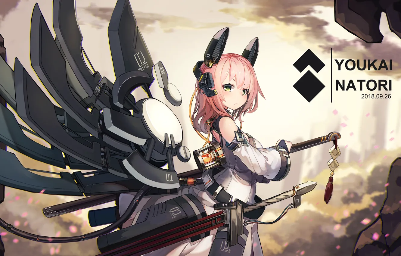 Photo wallpaper girl, weapons, wings