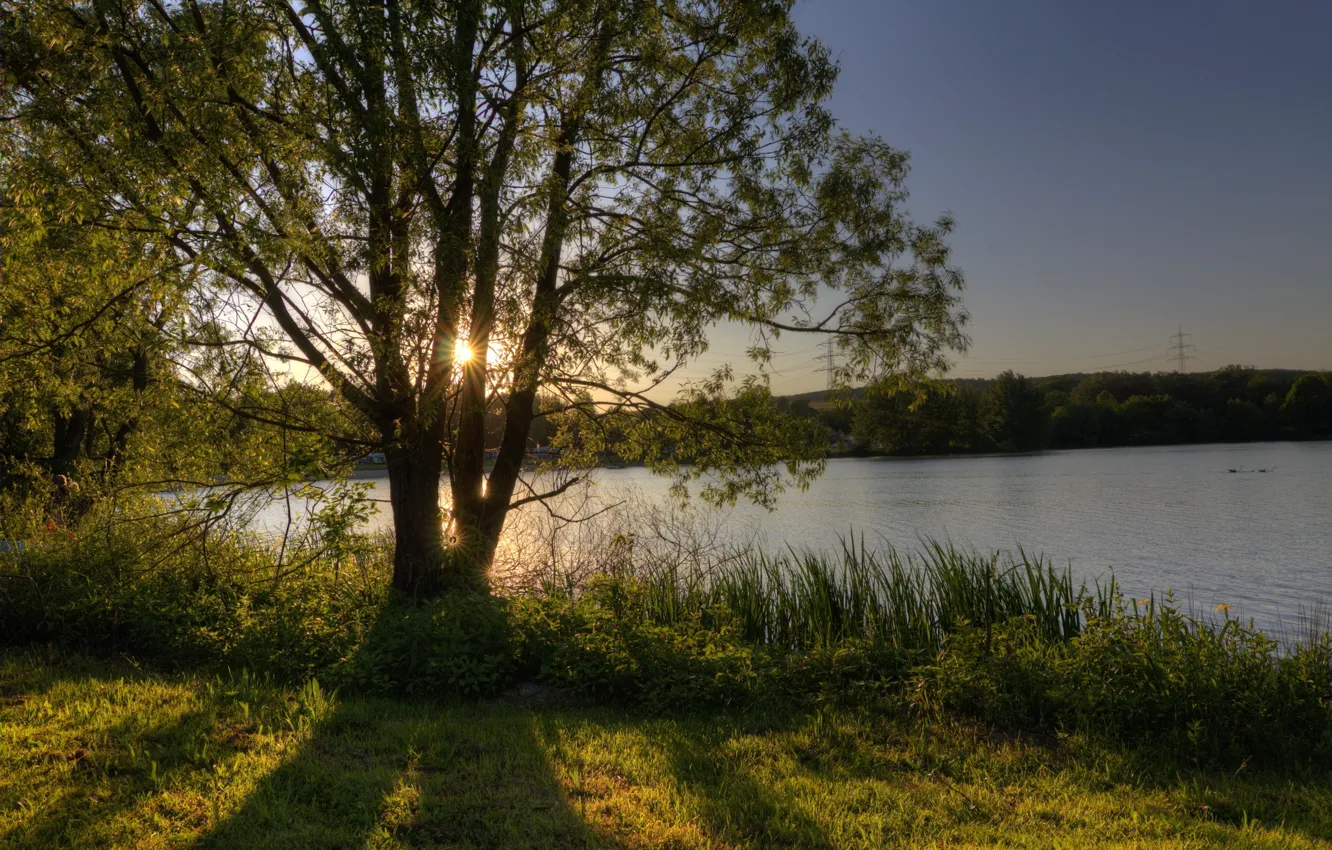 Photo wallpaper the sky, the sun, rays, trees, lake, shore, Germany, Of Wettenberg