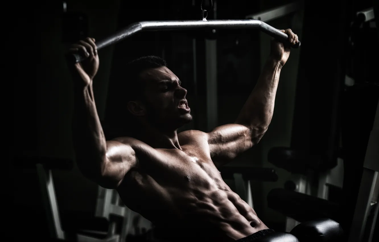 Photo wallpaper workout, gym, bodybuilder