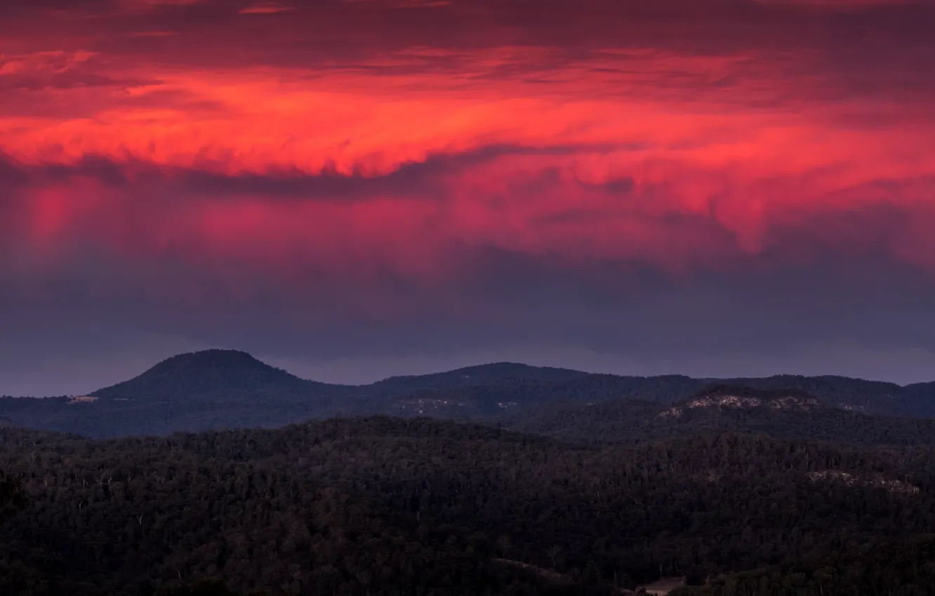 Photo wallpaper forest, twilight, sunset, hills, dusk