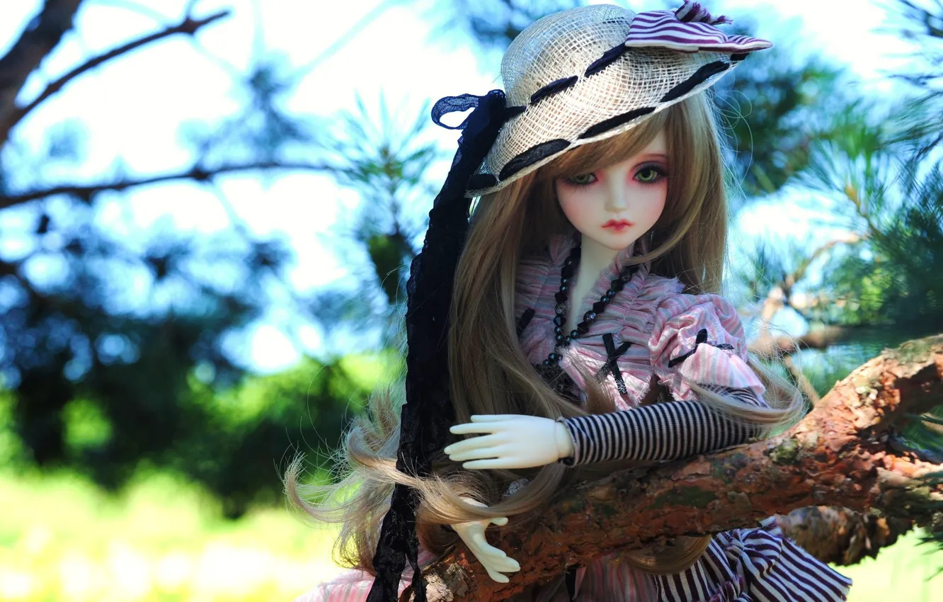 Photo wallpaper nature, toy, branch, hat, doll, long hair