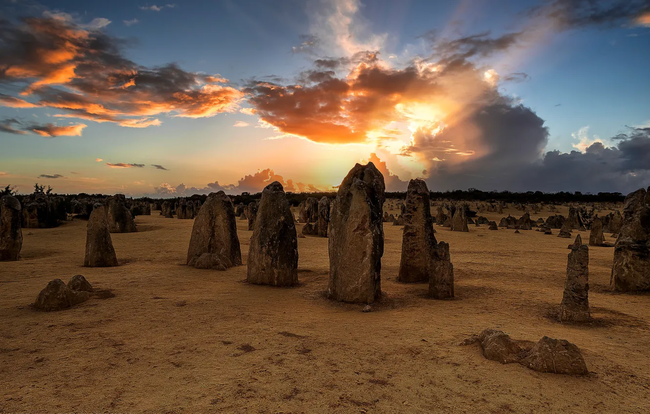 Photo wallpaper field, the sky, the sun, clouds, rays, light, sunset, clouds