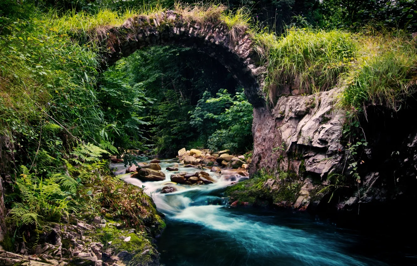 Photo wallpaper forest, nature, river, stream, stream, the bridge