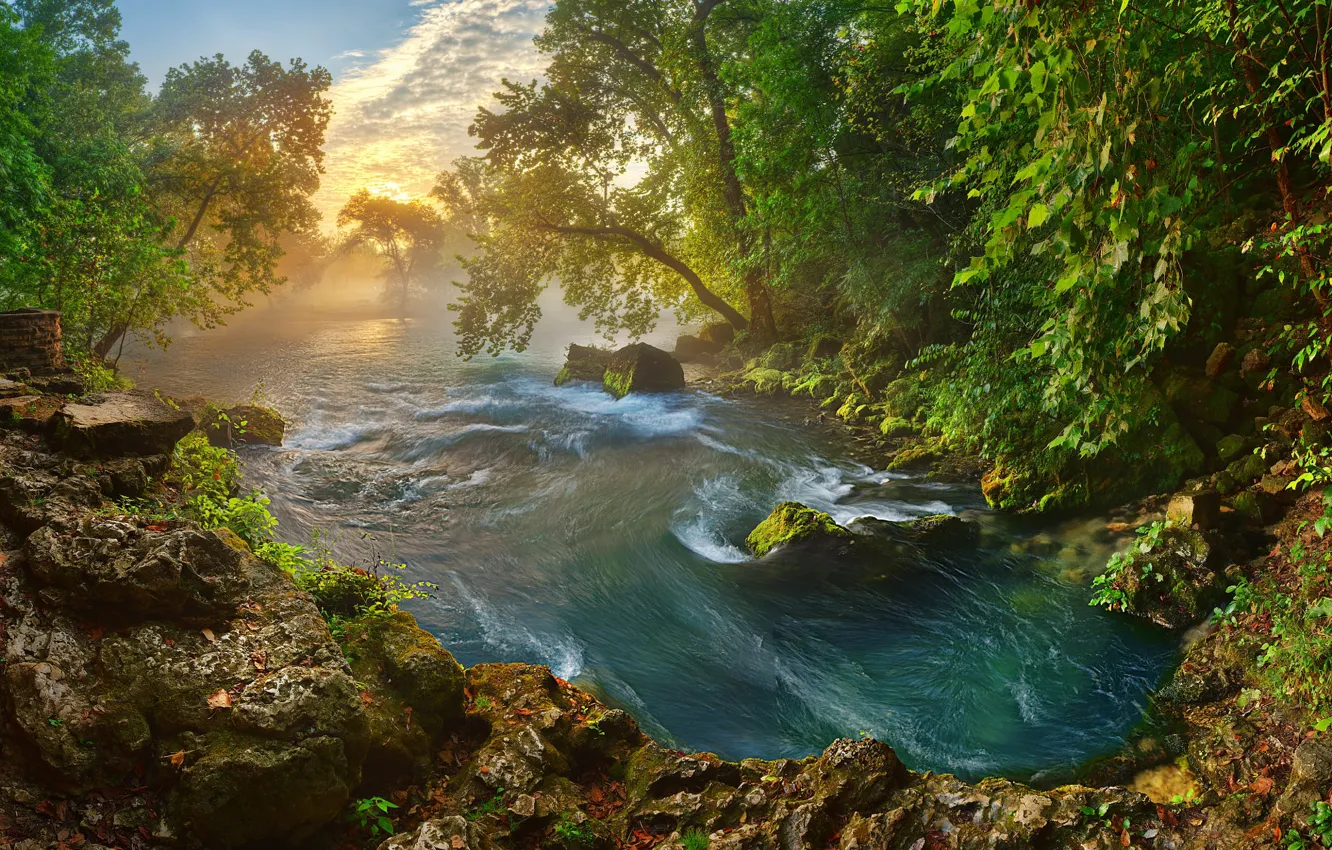Photo wallpaper the sun, trees, landscape, nature, river, stones, shore, morning