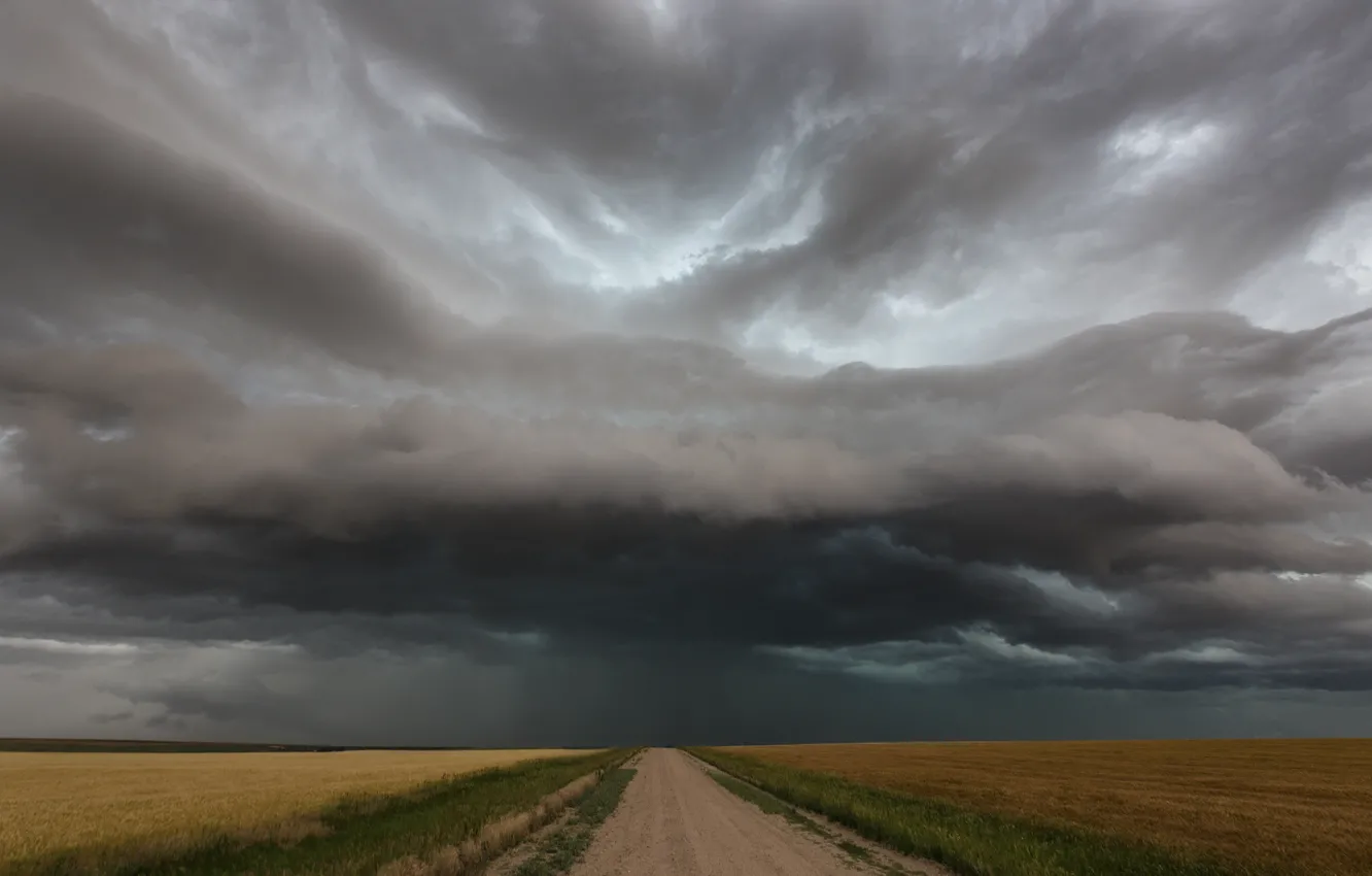 Photo wallpaper road, field, rain, storm, horizon, storm, road, rain