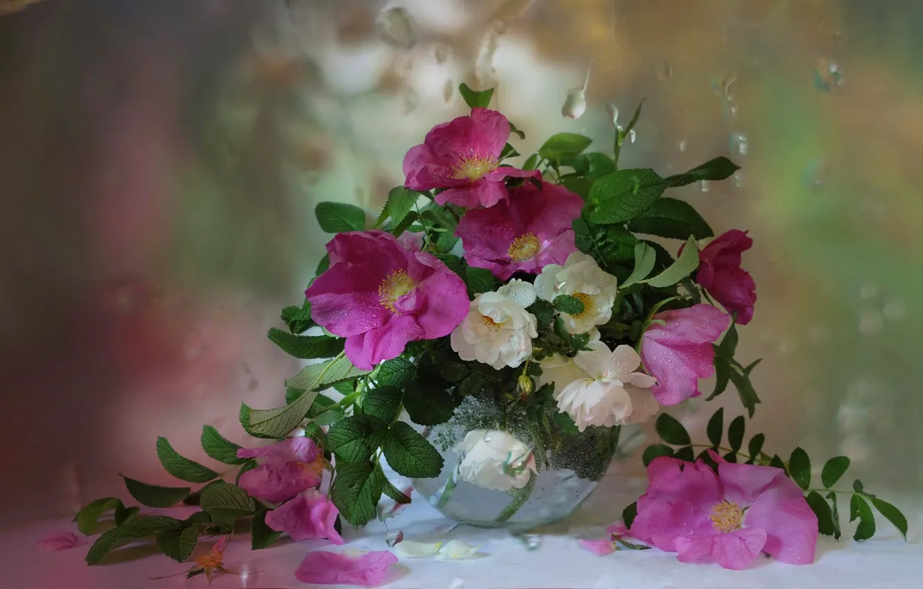 Photo wallpaper drops, flowers, bouquet, window, briar, vase