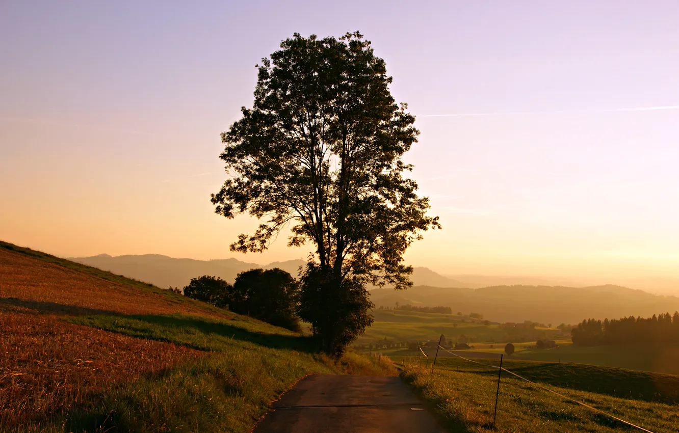 Photo wallpaper road, the sun, trees, dawn, hills, morning, the sky, field.