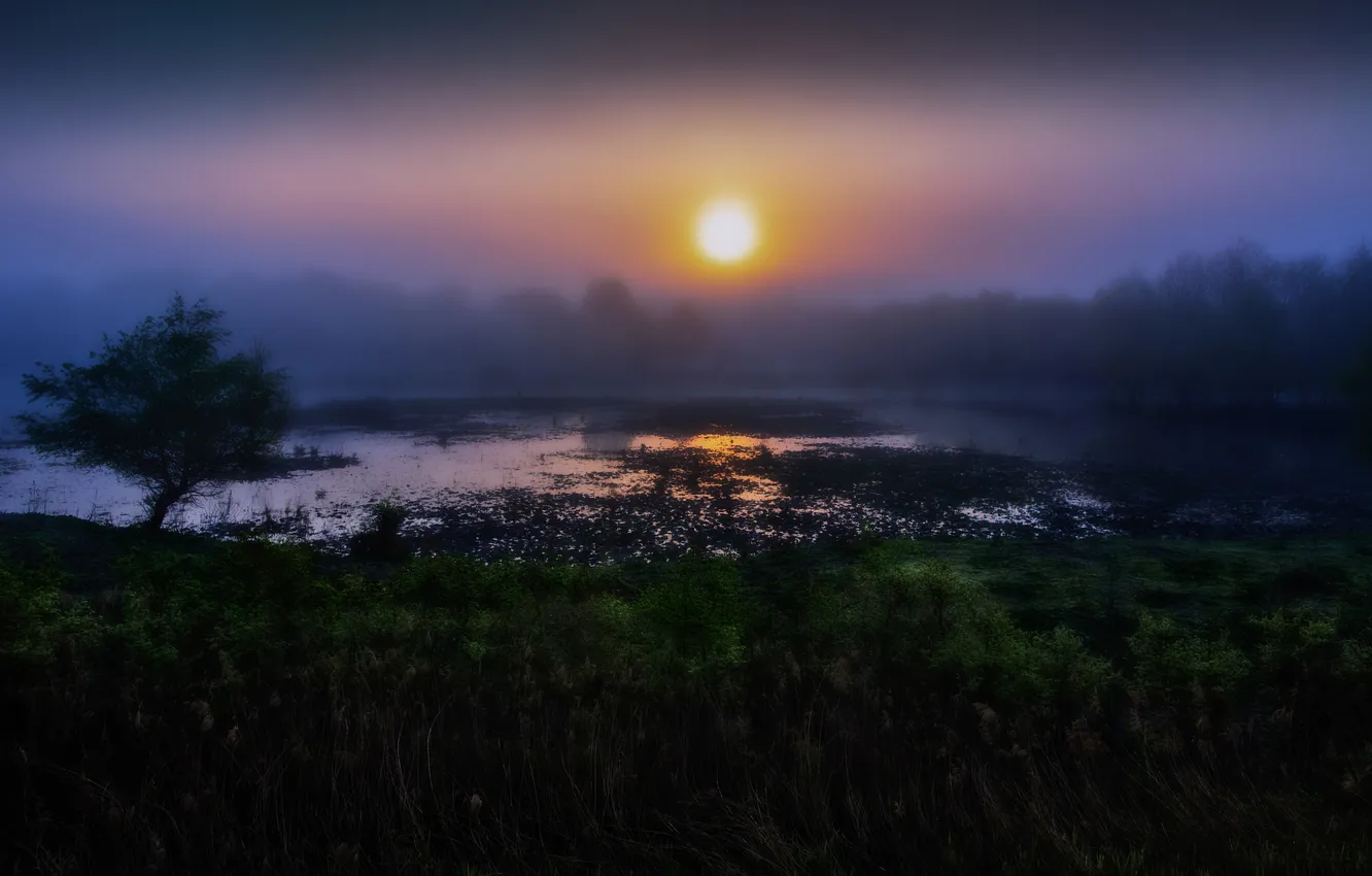 Photo wallpaper night, nature, river