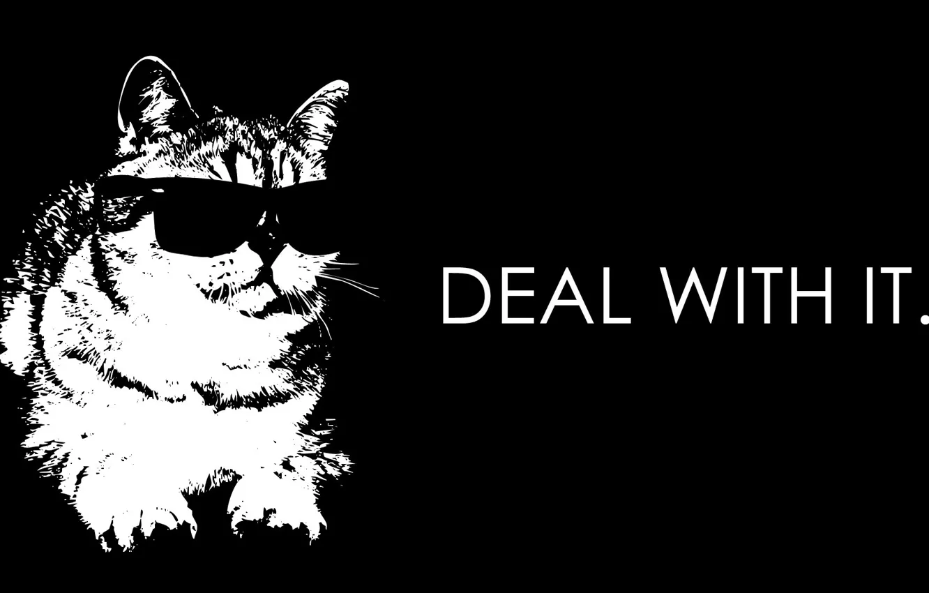 Photo wallpaper cat, deal with it, cat in glasses