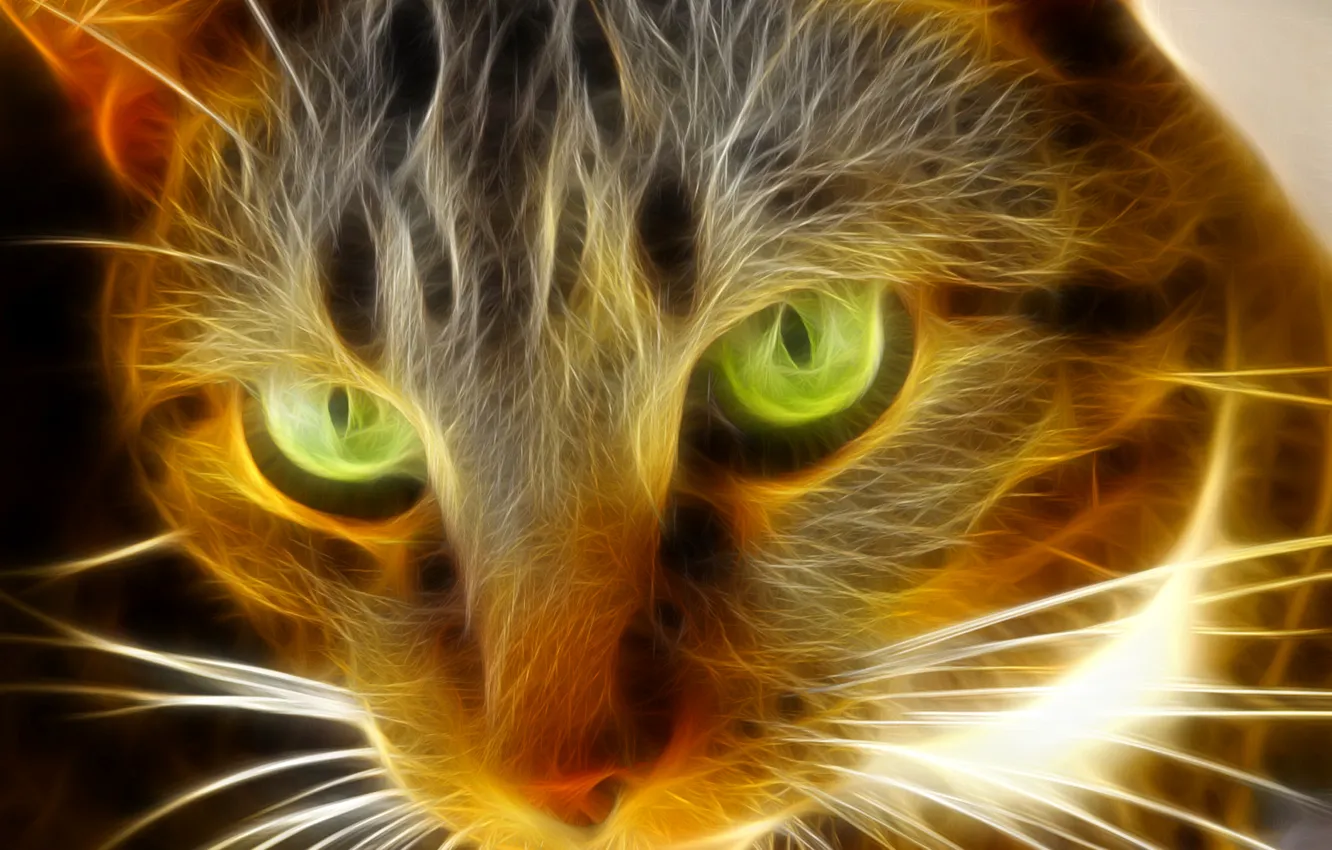 Photo wallpaper cat, eyes, cat, animal
