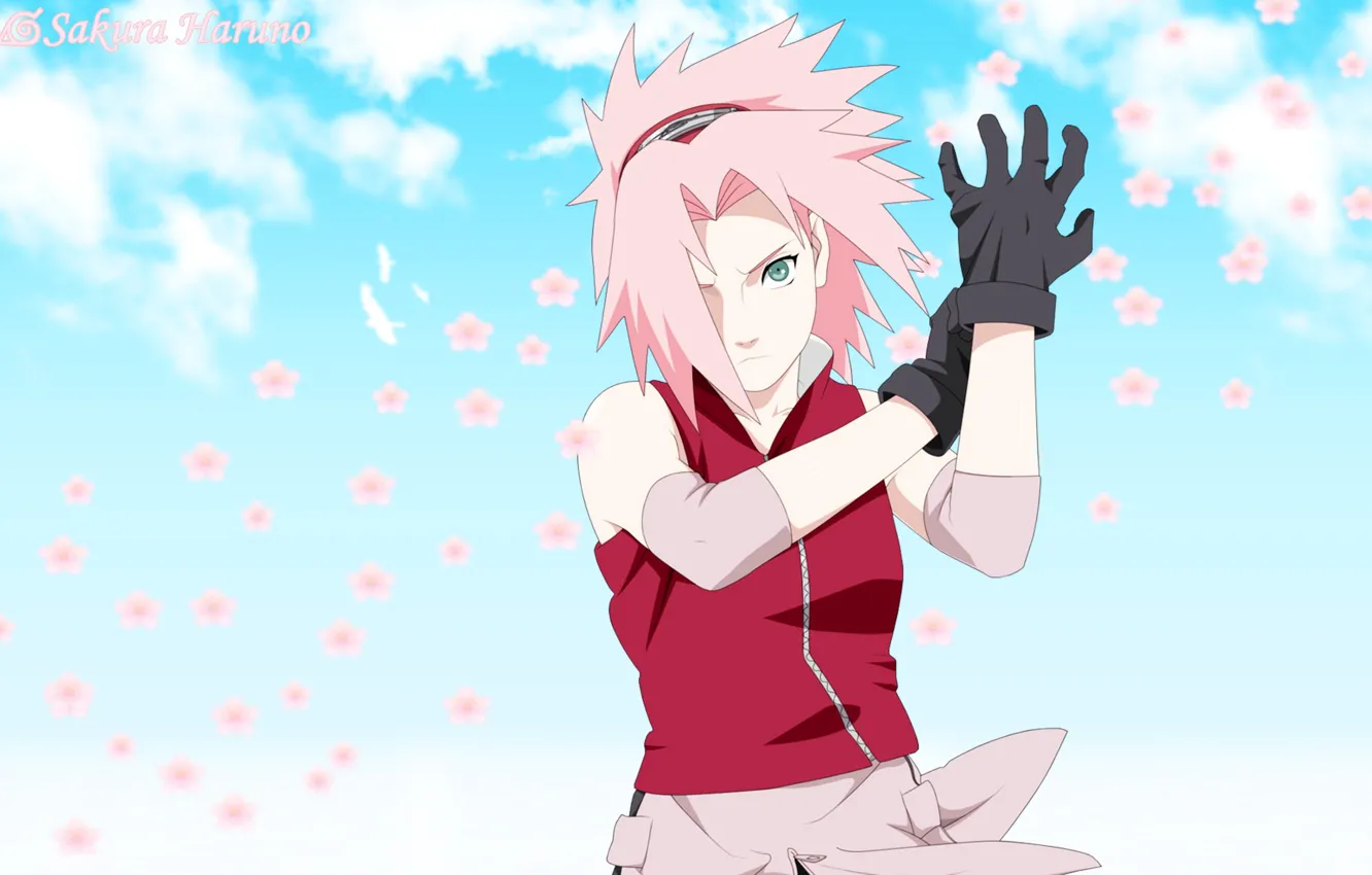 Photo wallpaper girl, game, Sakura, fighter, flower, sky, woman, pink