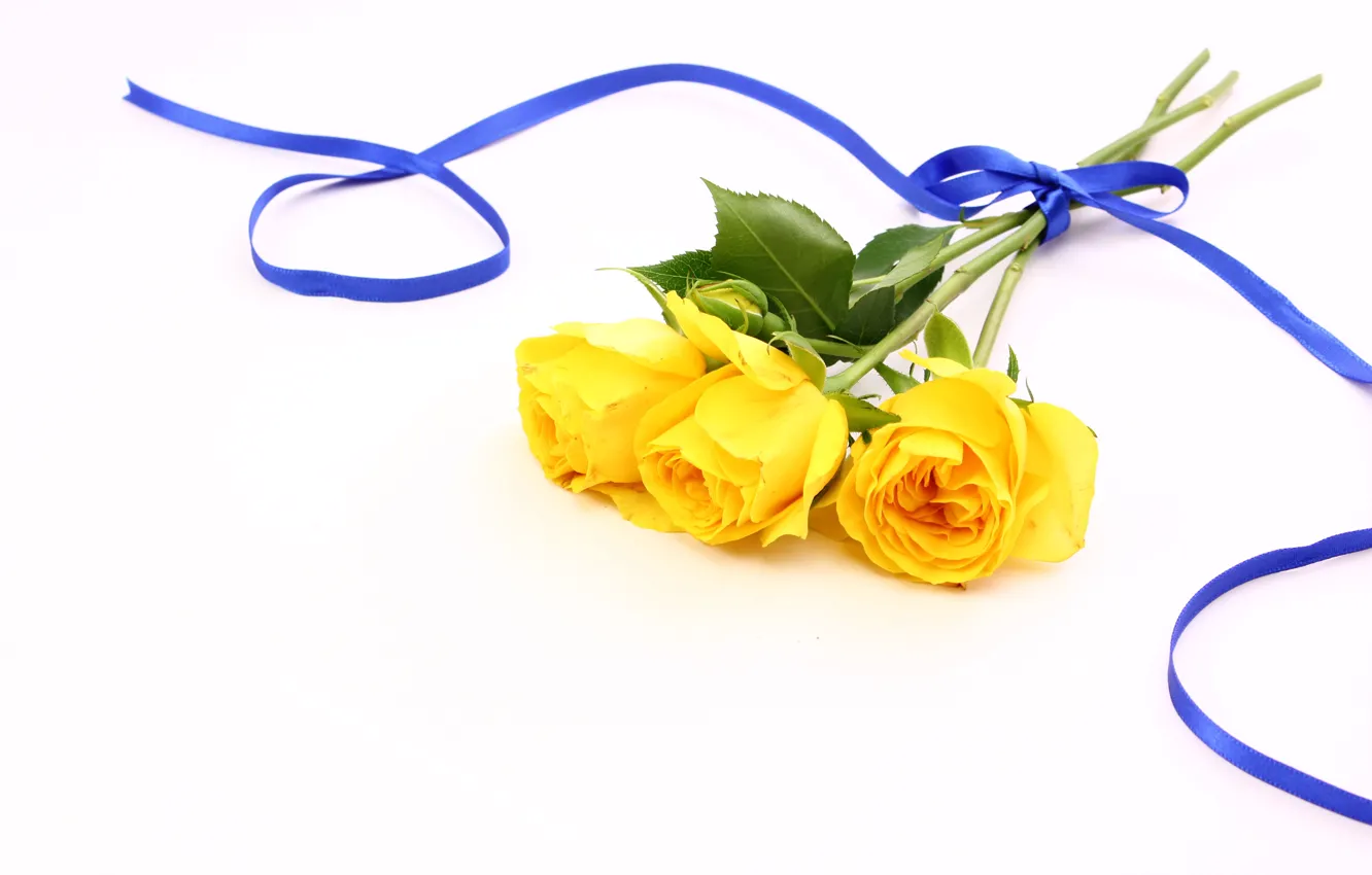 Photo wallpaper flowers, yellow, background, tape, Roses