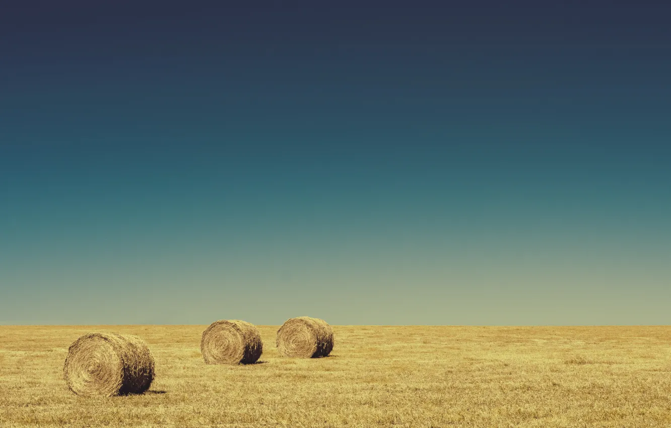 Photo wallpaper field, the sky, horizon, hay