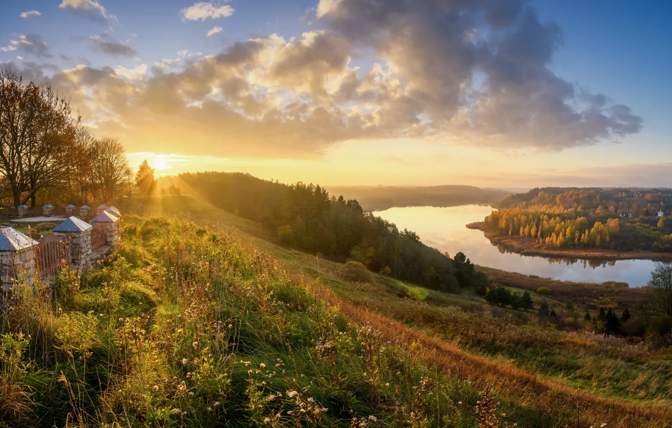 Photo wallpaper field, autumn, forest, the sky, grass, the sun, clouds, rays