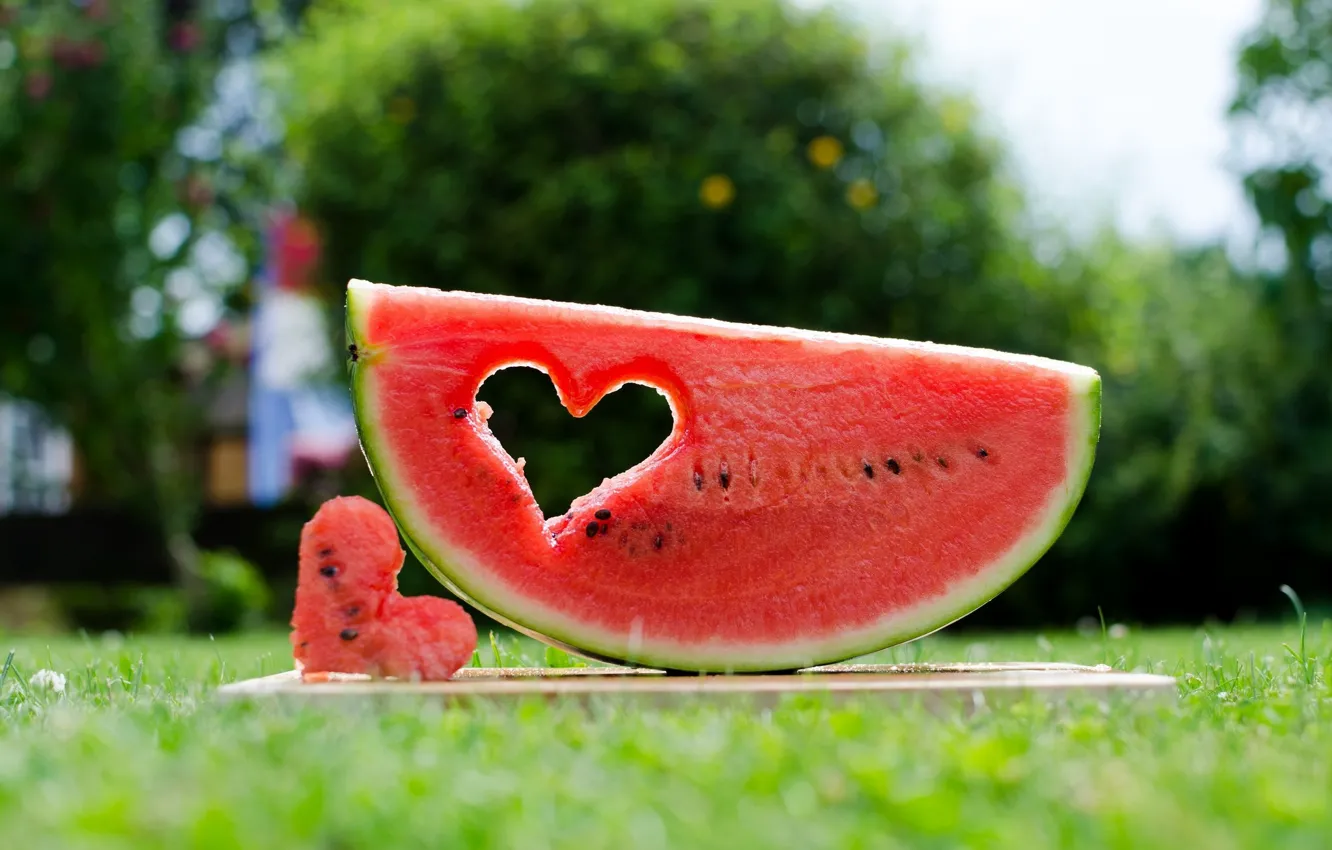 Photo wallpaper grass, watermelon, hearts, slices