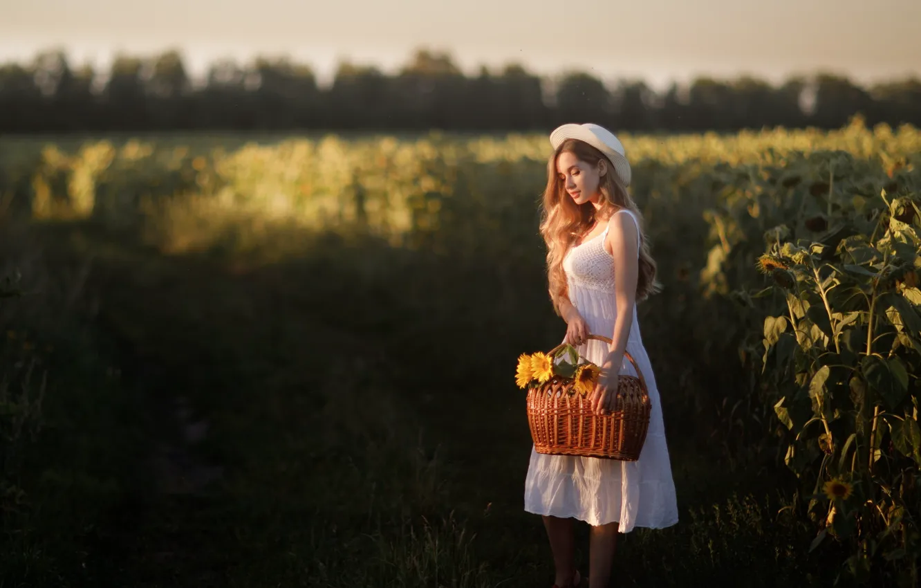 Photo wallpaper sunflowers, basket, Girl, dress, hat, Ilya Garbuzov, Anastasia Abramova