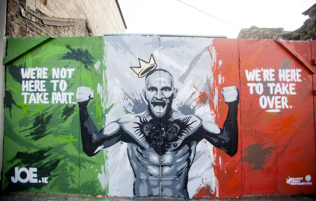 Photo wallpaper UFC, Grafiti, Conor McGregor, Conor McGregor