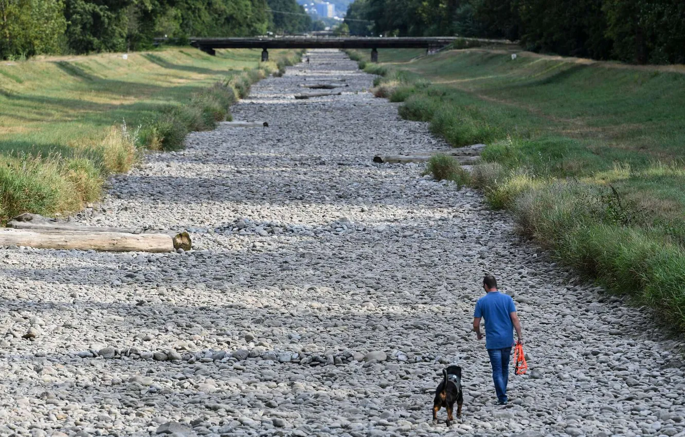 Photo wallpaper forest, the sky, grass, landscape, bridge, nature, stones, people