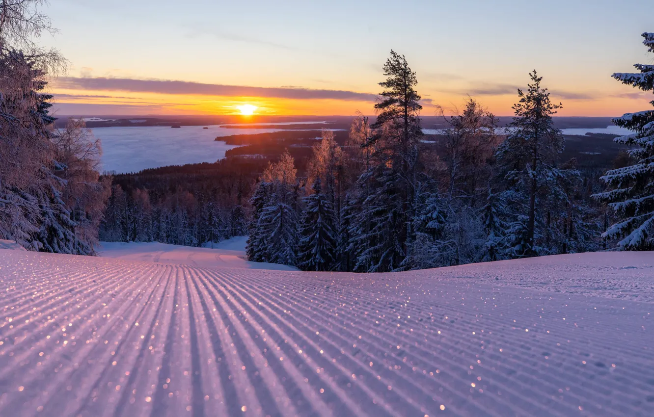 Photo wallpaper the sun, snow, dawn, tree, Finland, Finland, Ski Resort, ski resort