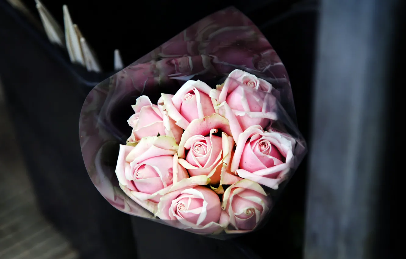 Photo wallpaper flowers, roses, bouquet, pink
