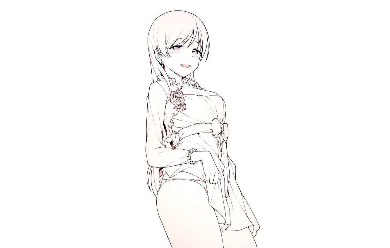 Photo wallpaper girl, sexy, lingerie, cleavage, panties, long hair, dress, boobs