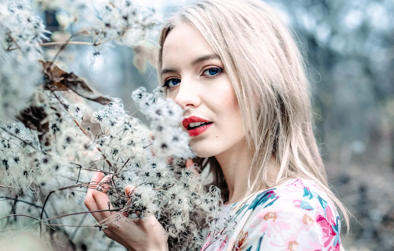 Photo wallpaper makeup, sponge, Anne Hoffmann