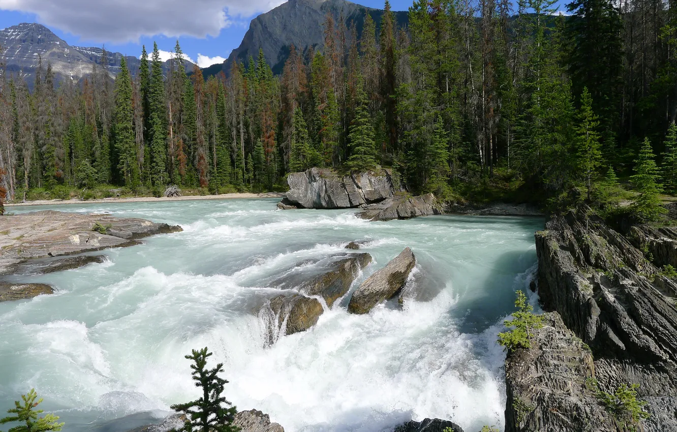 Photo wallpaper the sky, trees, mountains, river, stones, rocks, stream