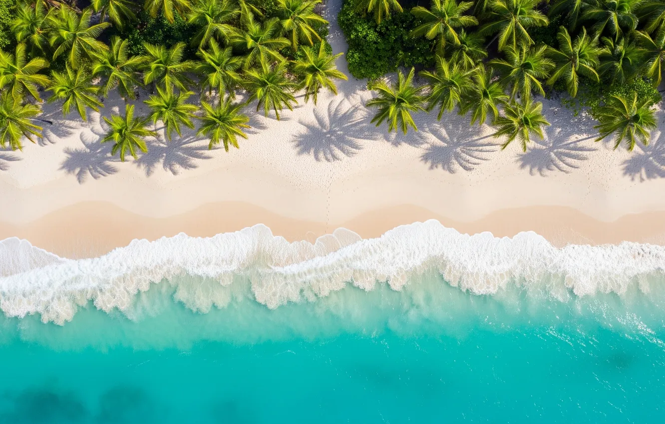 Photo wallpaper sand, wave, beach, water, palm trees, Wallpaper, shore, waves