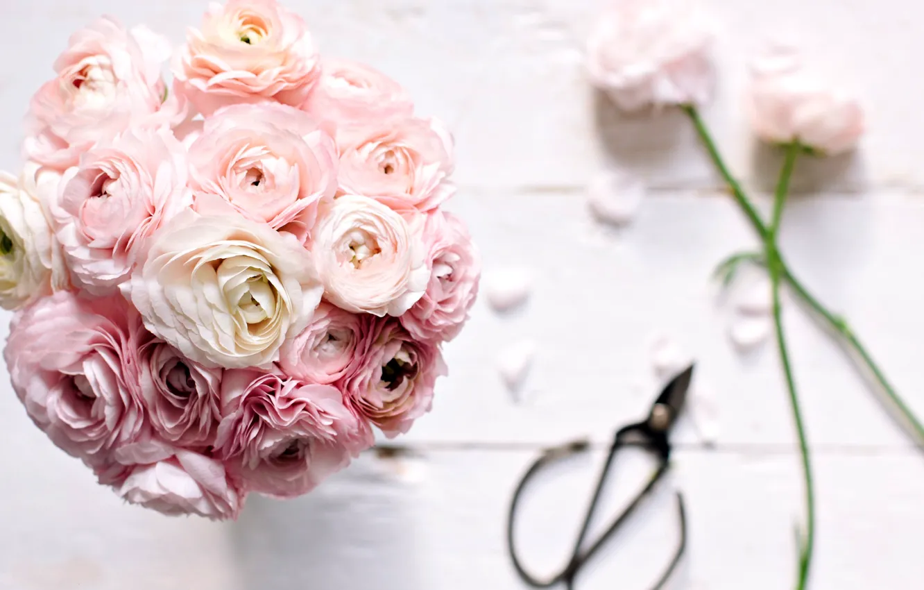 Photo wallpaper flowers, bouquet, petals