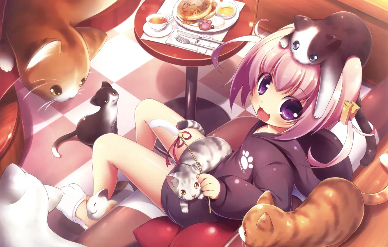 Photo wallpaper Cats, Girl, Anime, Food, Cats, Table