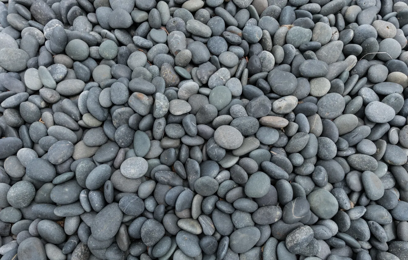 Photo wallpaper beach, pebbles, stones, background, beach, texture, marine, sea